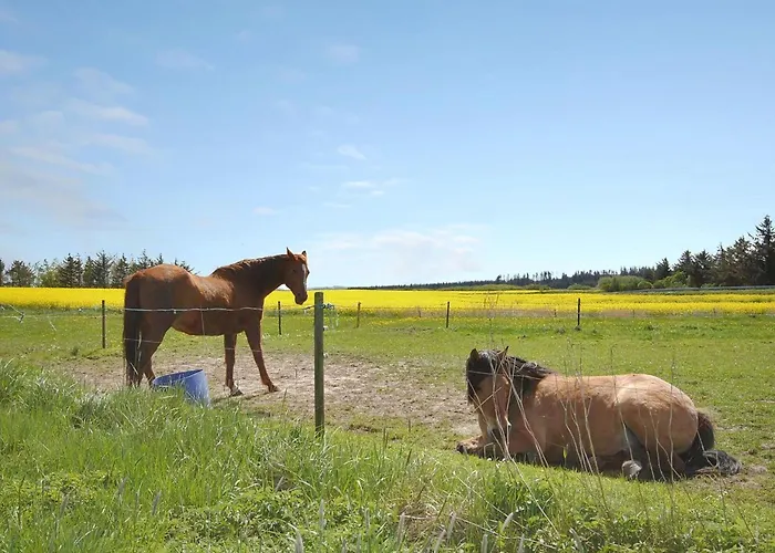 Sophia - 8km From The Sea By Interhome Nyaraló Thisted